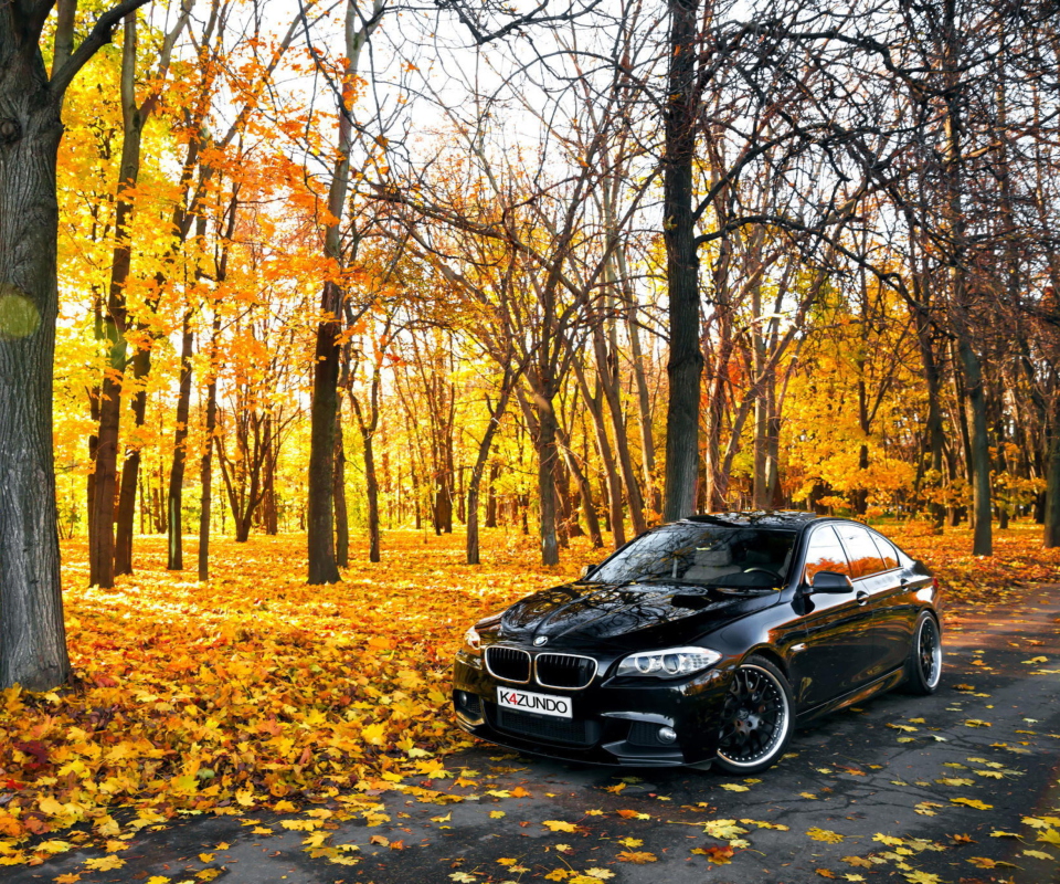Обои BMW 550X Autumn View 960x800