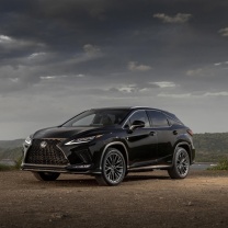 Fondo de pantalla Lexus RX 450h Sport 208x208