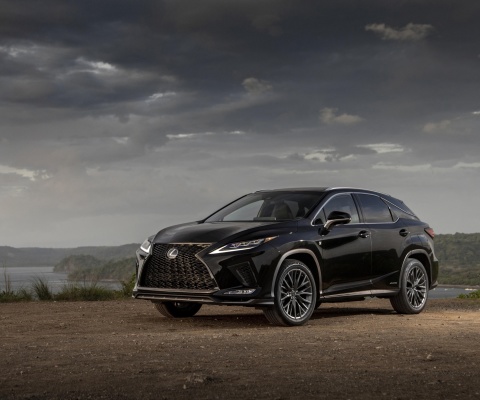 Lexus RX 450h Sport screenshot #1 480x400