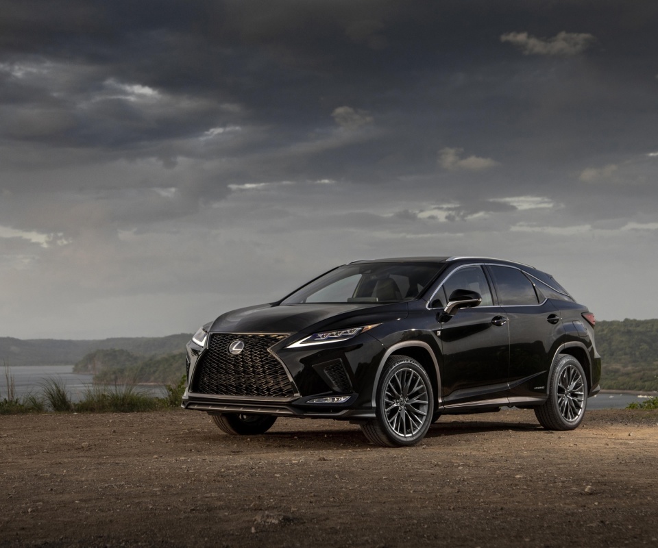 Das Lexus RX 450h Sport Wallpaper 960x800