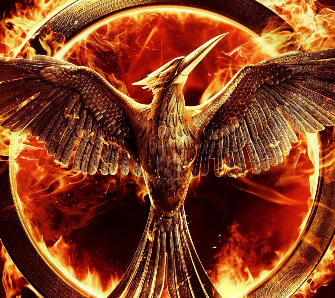 Fondo de pantalla The Hunger Games Mockingjay 1080x960