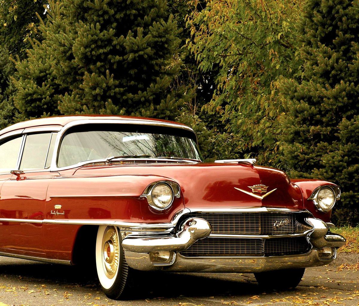 1956 Cadillac Maharani wallpaper 1200x1024