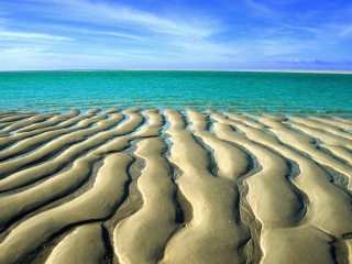 Fondo de pantalla Sea Shore 320x240