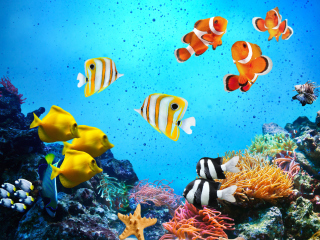 Screenshot №1 pro téma Tropical Fishes 320x240