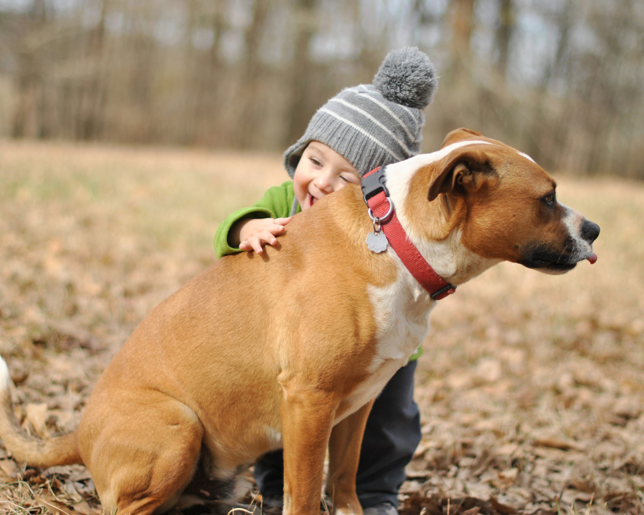 Das Child With His Dog Friend Wallpaper 1280x1024