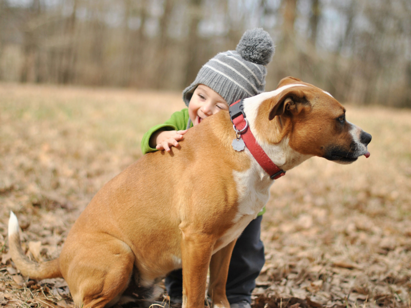 Обои Child With His Dog Friend 800x600