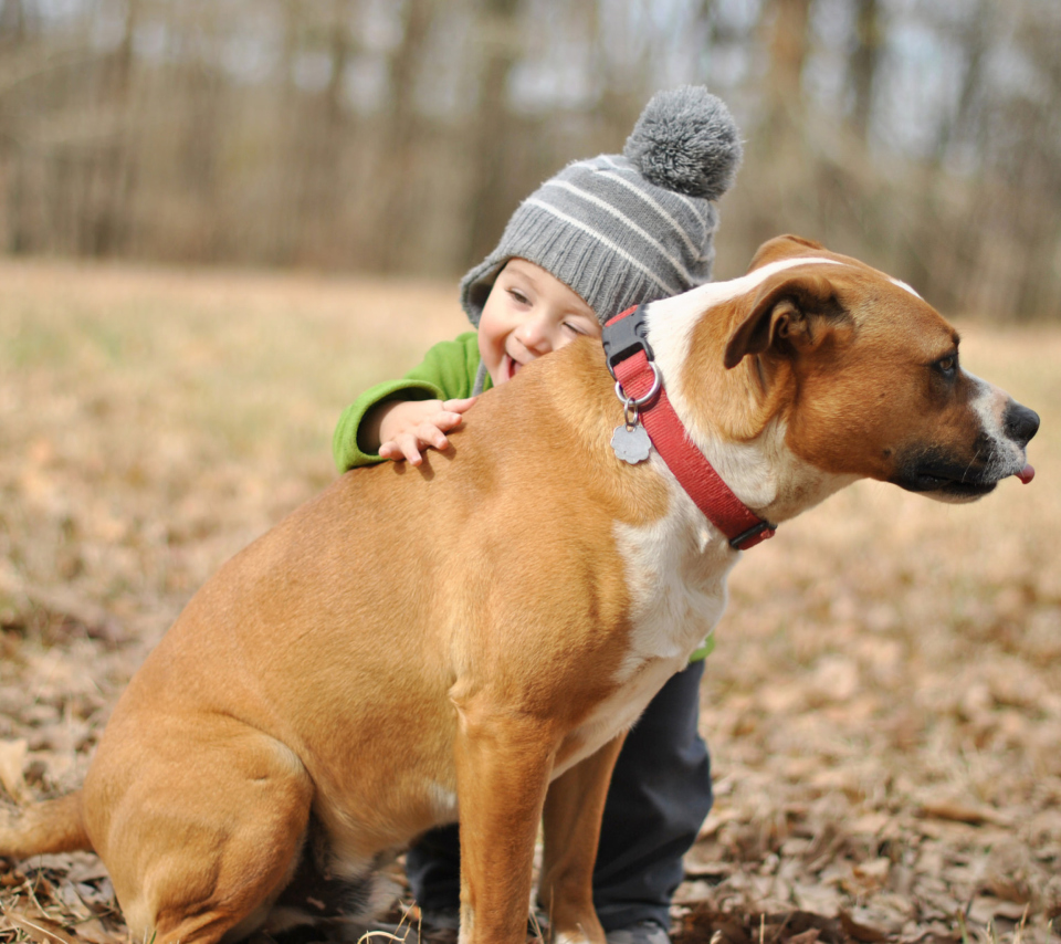Das Child With His Dog Friend Wallpaper 960x854