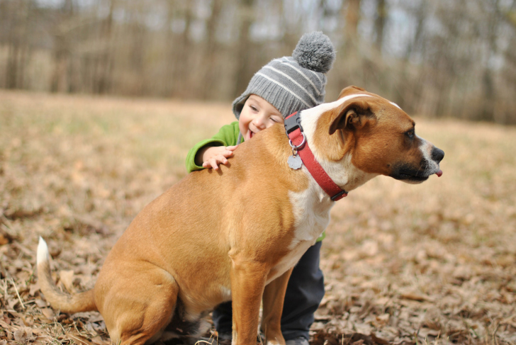 Обои Child With His Dog Friend