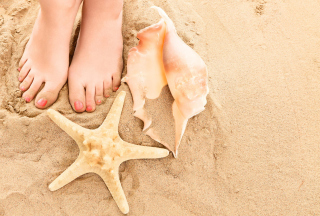 Sun Sand Shells sfondi gratuiti per cellulari Android, iPhone, iPad e desktop