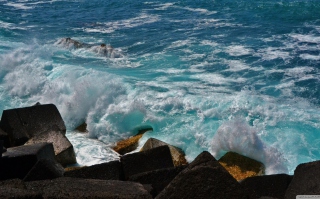 Free Wave Breaker Picture for Android, iPhone and iPad
