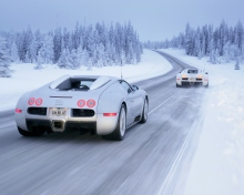 Bugatti Veyron In Winter screenshot #1 220x176