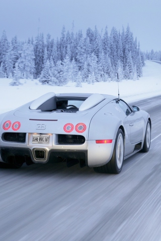 Das Bugatti Veyron In Winter Wallpaper 320x480