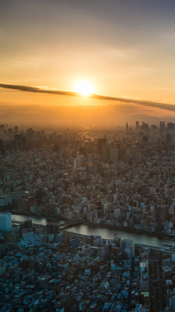 Breaking Dawn in Tokyo wallpaper 360x640