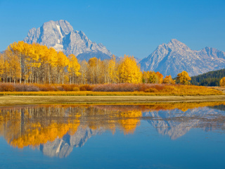 Обои Wyoming, Grand Teton National Park 320x240