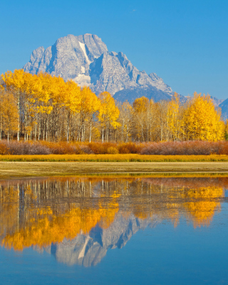 Wyoming, Grand Teton National Park - Obrázkek zdarma pro Nokia Asha 305