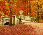 Das Autumn in Peterhof Wallpaper 176x144