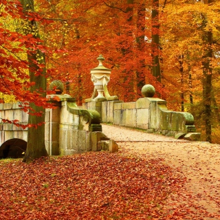 Kostenloses Autumn in Peterhof Wallpaper für iPad Air