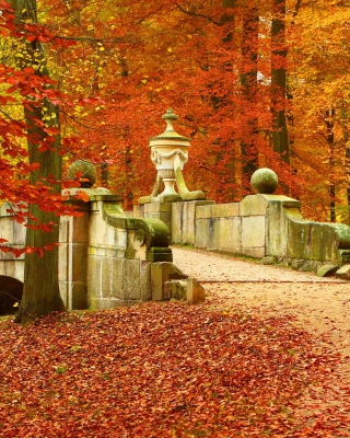 Autumn in Peterhof - Obrázkek zdarma pro Nokia X1-00