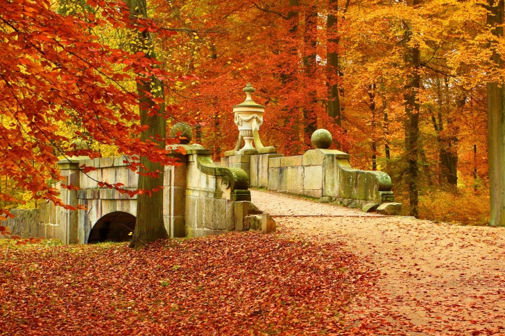 Autumn in Peterhof wallpaper