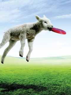 Lamb And Frisby wallpaper 240x320