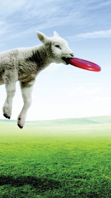 Lamb And Frisby wallpaper 360x640