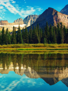 Fondo de pantalla Glacier National Park in Montana 240x320