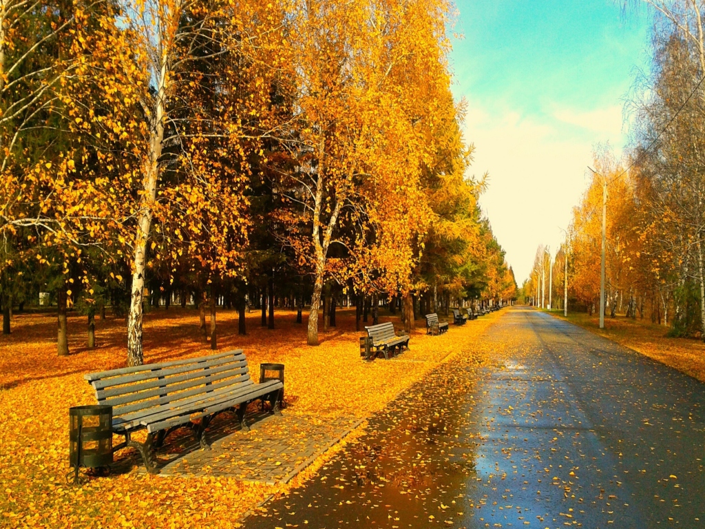 Das Autumn Park Wallpaper 1024x768