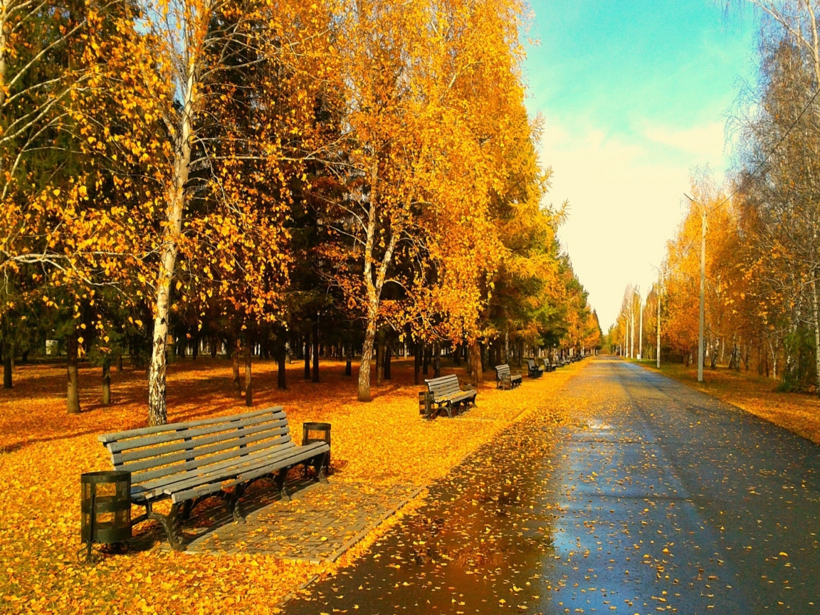 Screenshot №1 pro téma Autumn Park 1152x864