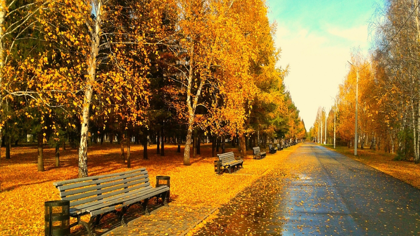 Screenshot №1 pro téma Autumn Park 1366x768