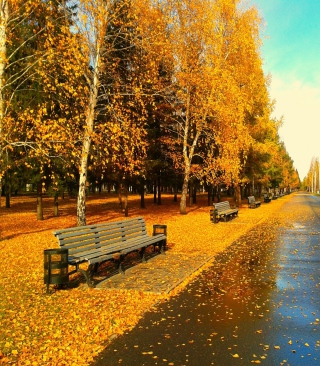 Autumn Park - Obrázkek zdarma pro 768x1280