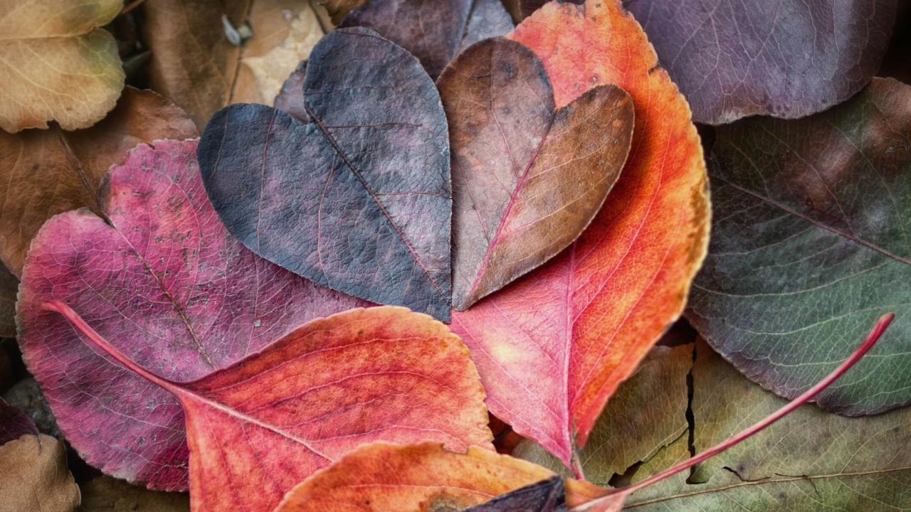 I Love Autumn wallpaper 1280x720