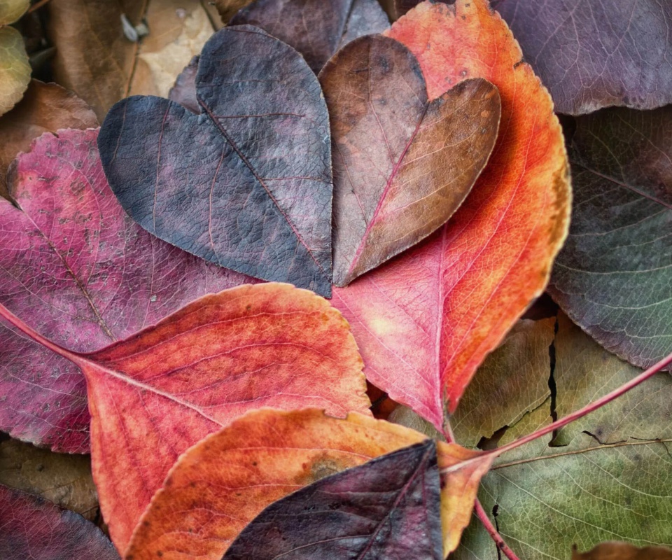 Das I Love Autumn Wallpaper 960x800