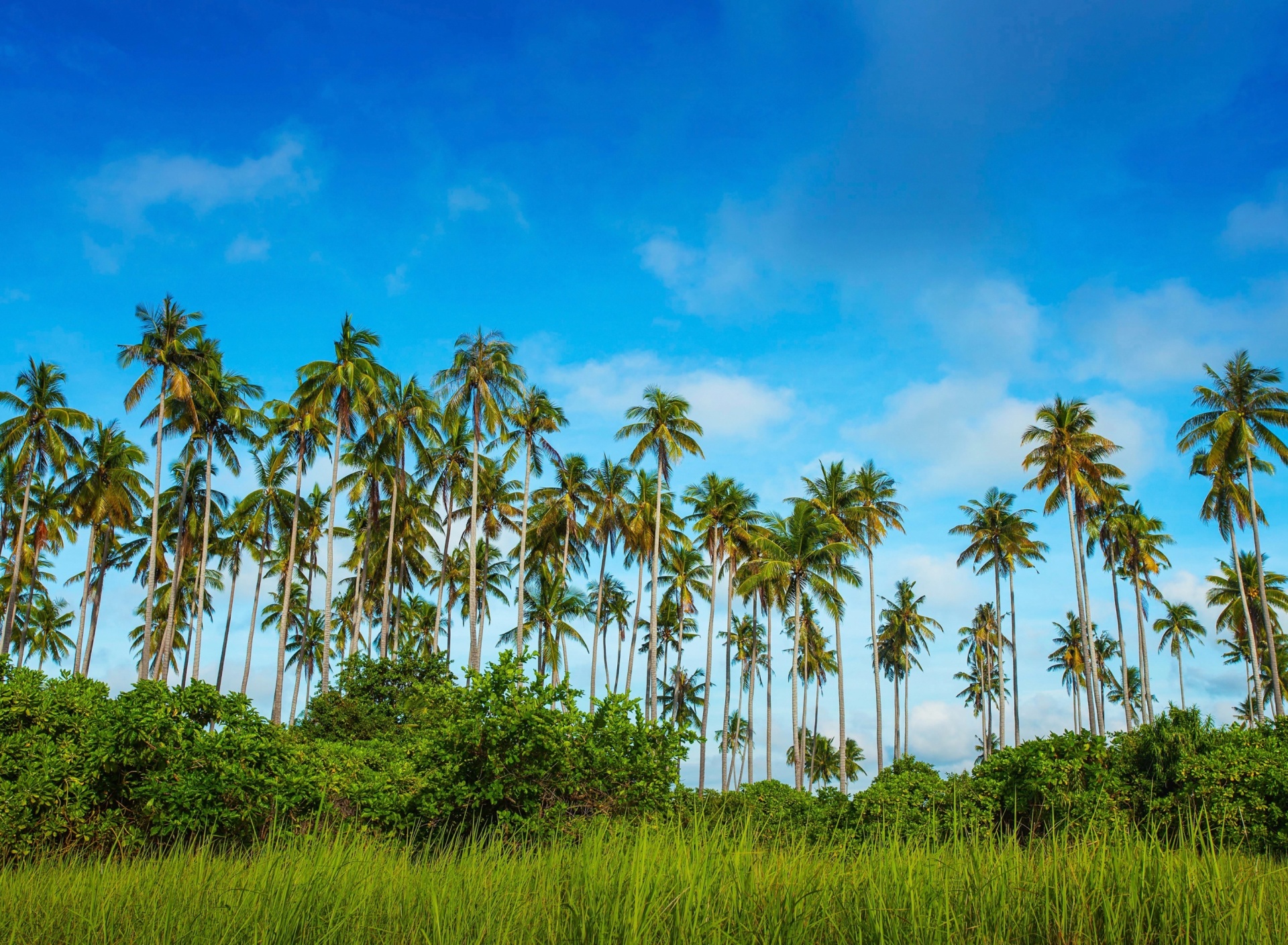 Обои Malaysia, Bohey Dulang Island 1920x1408