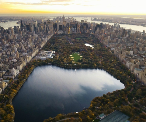 Screenshot №1 pro téma Central Park 480x400