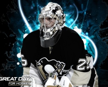 Fondo de pantalla Pittsburgh Penguins Marc Andre Fleury 220x176