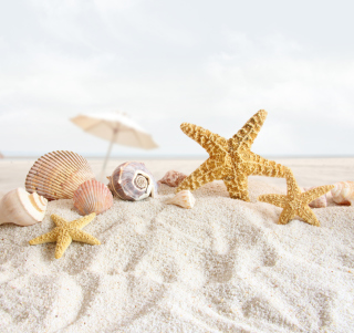 Kostenloses Seashells On The Beach Wallpaper für iPad 2