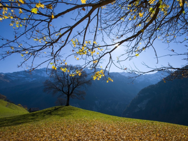 Обои Sunny Autumn In The Mountains 640x480