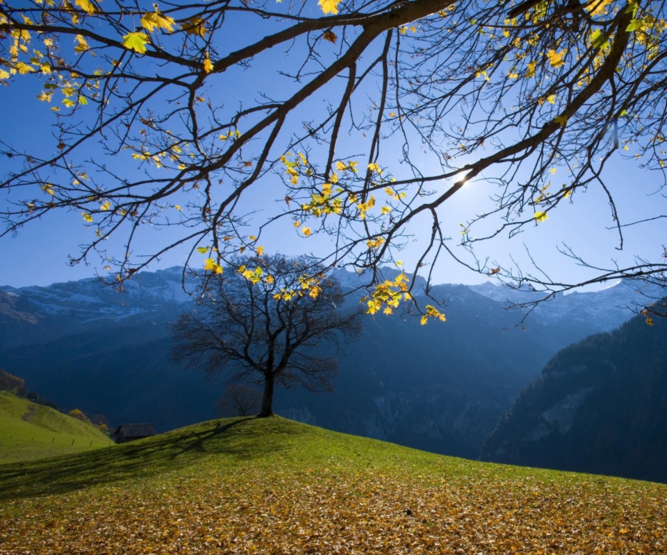 Das Sunny Autumn In The Mountains Wallpaper 960x800