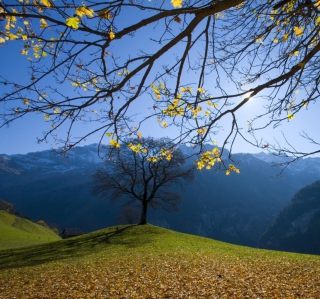 Sunny Autumn In The Mountains - Obrázkek zdarma pro 128x128