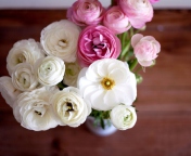 Fondo de pantalla Amazing Ranunculus Bouquet 176x144