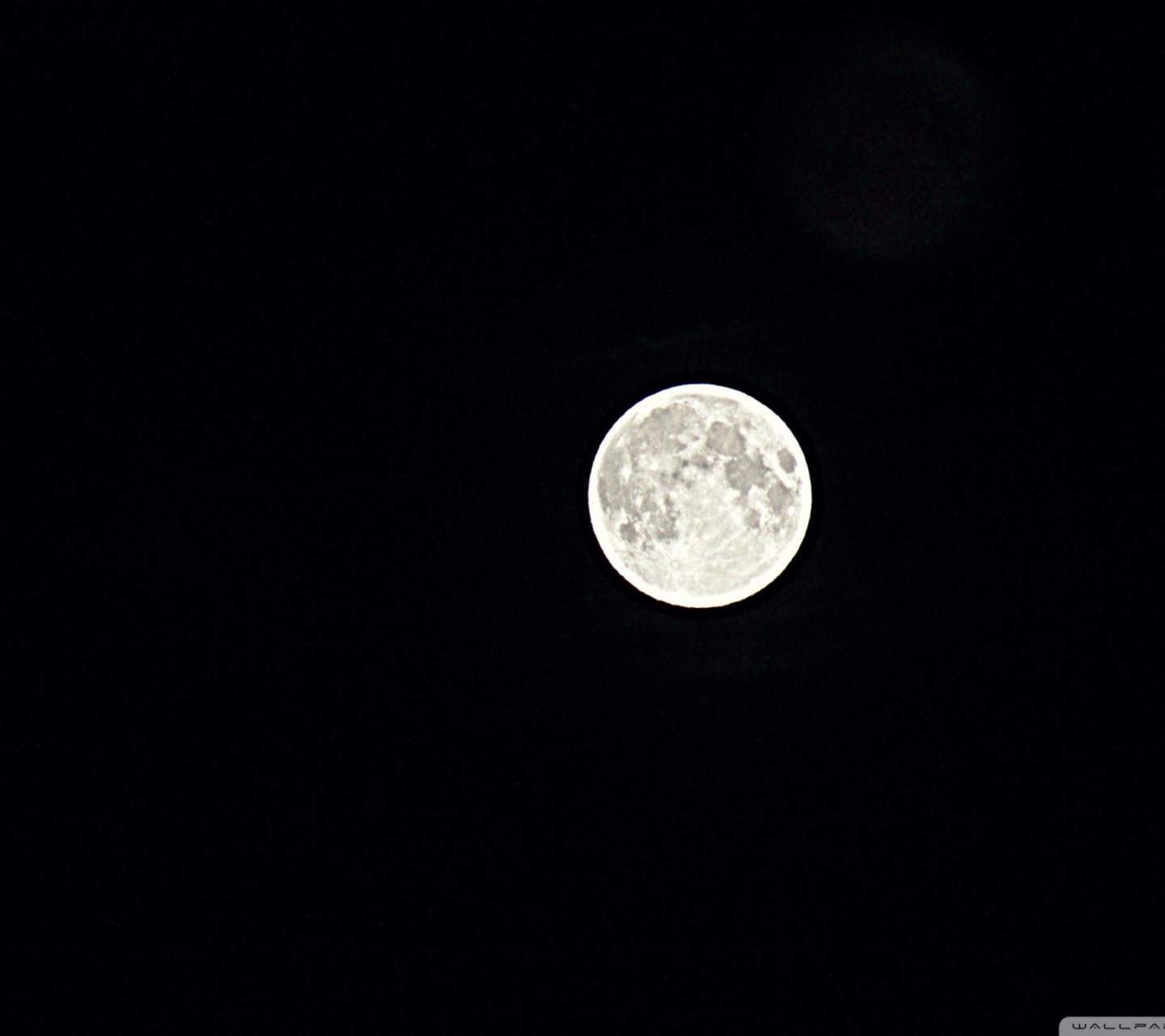 Sfondi Moon In Black Sky 1440x1280