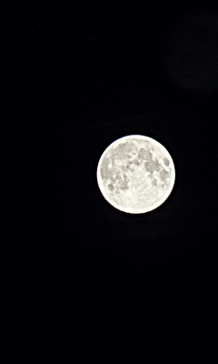 Sfondi Moon In Black Sky 240x400