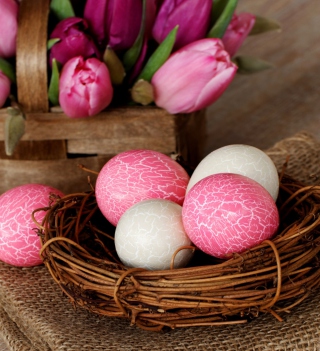 Pink Easter - Obrázkek zdarma pro 208x208