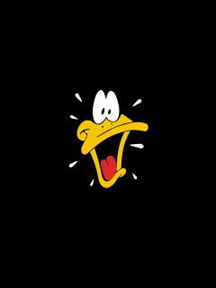 Das Daffy Duck - Looney Tunes Wallpaper 240x320
