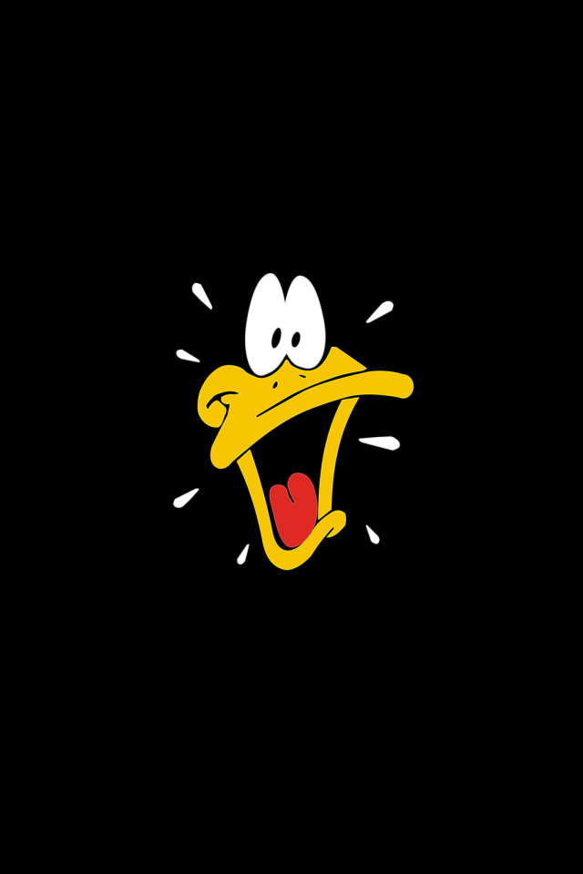 Fondo de pantalla Daffy Duck - Looney Tunes 640x960