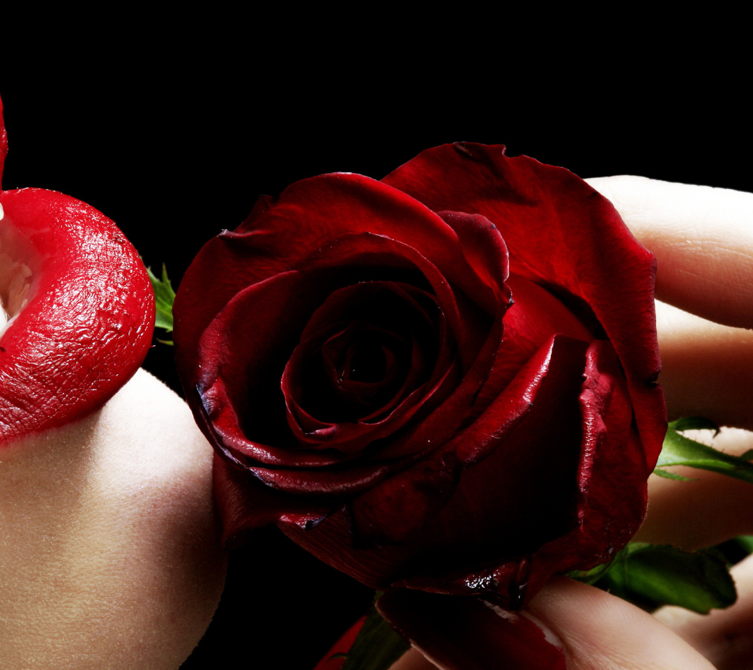 Sfondi Red Rose and Lipstick 1080x960