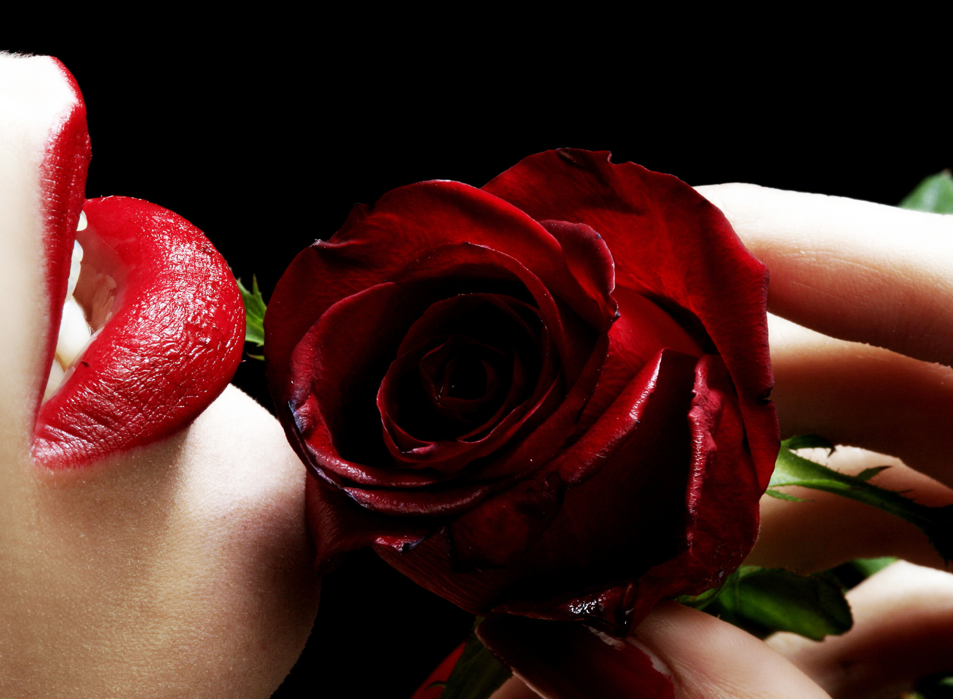 Red Rose and Lipstick wallpaper 1920x1408
