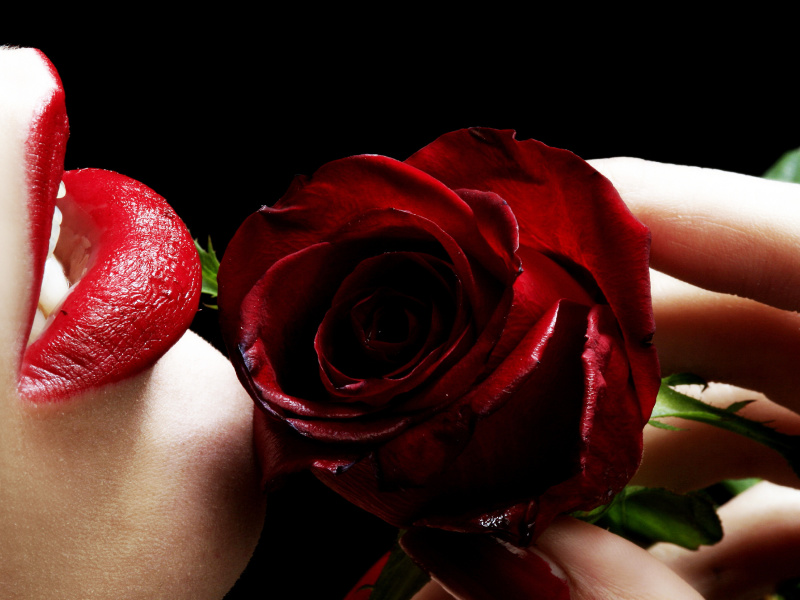 Das Red Rose and Lipstick Wallpaper 800x600