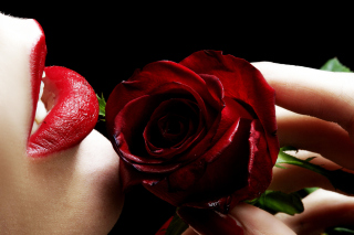 Red Rose and Lipstick papel de parede para celular 