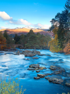 Fondo de pantalla Landscape of mountain river 240x320